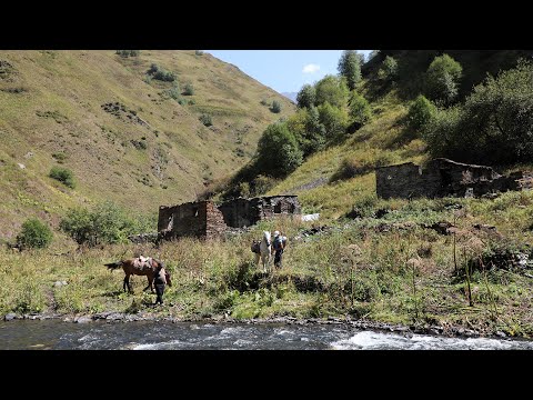 მარტოკაცებმა არჭილო გააცოცხლეს - მთავრობის ყურადღება ნულია