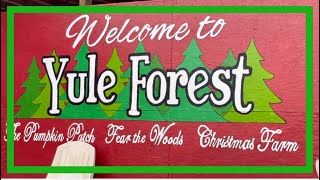 Yule Forest Fall Visit | Vlogmas Day 13