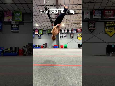 Which Flip Is