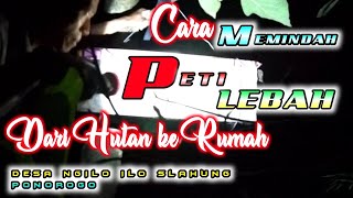 Cara Memindahkan Peti Lebah Madu dari Hutan ke Rumah