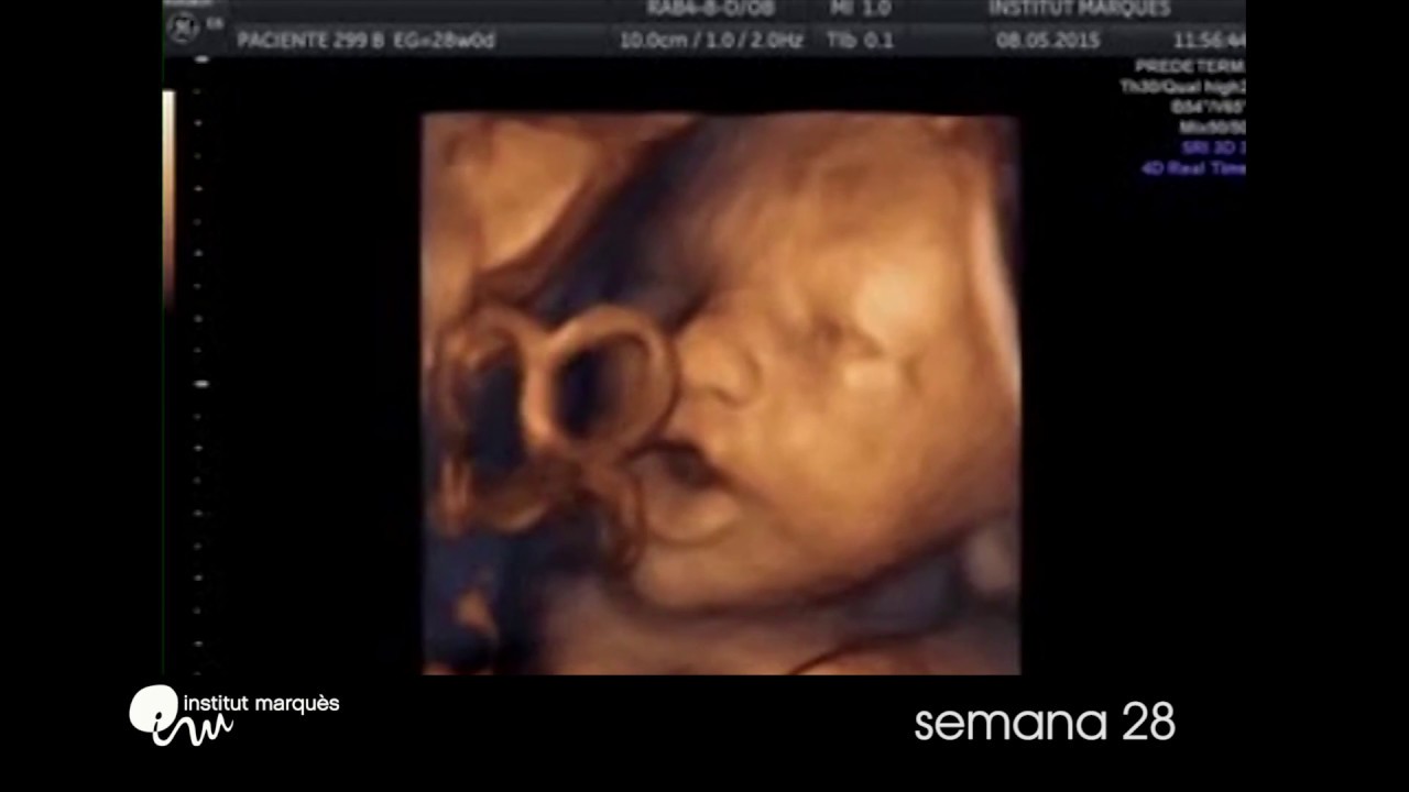 Bambino Sente Musica Nella Pancia Pianetamamma It