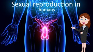 Sexual reproduction in humans || 3D animated explanation || class 10th || How do organisms reproduce
