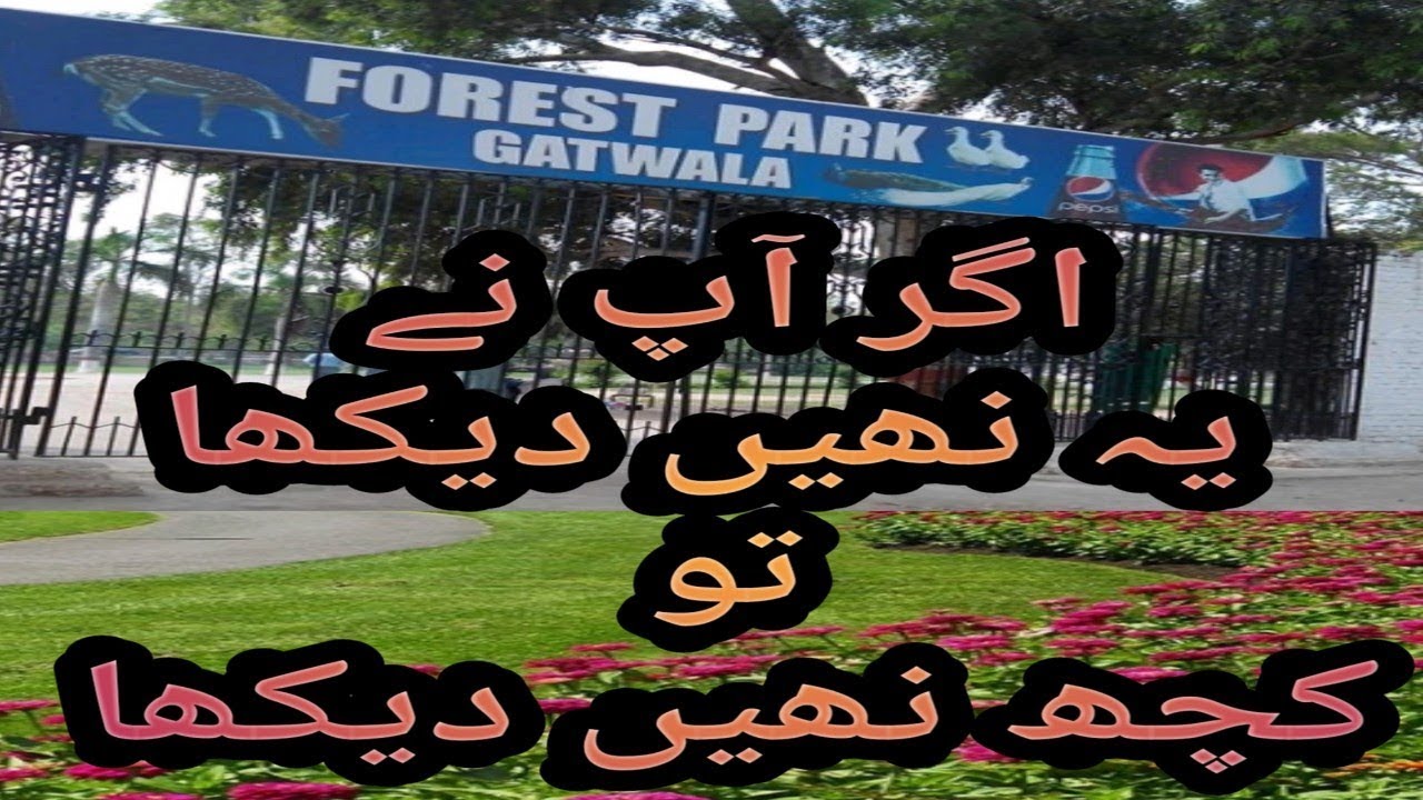 Forest Park 🎢 gatwala | Gatwala wildlife Park| Faisalabad series| visiting place|2019
