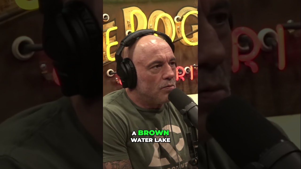 The Fascination of Beauty: Exploring the Evolutionary Wonders of Flowers 