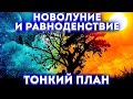 Новолуние и равноденствие .Тонкий план.