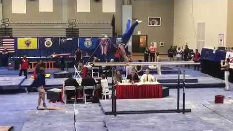 Tyler Schmidt - Parallel Bars - Azarian Team Cup 2018