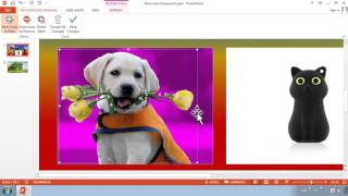 Hướng dẫn tách nền cho ảnh trong Powerpoint