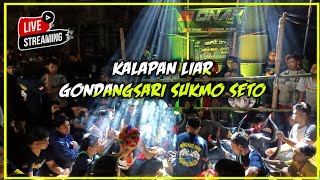 🔴 LIVE KALAPAN GONDANGSARI SUKMO SETO