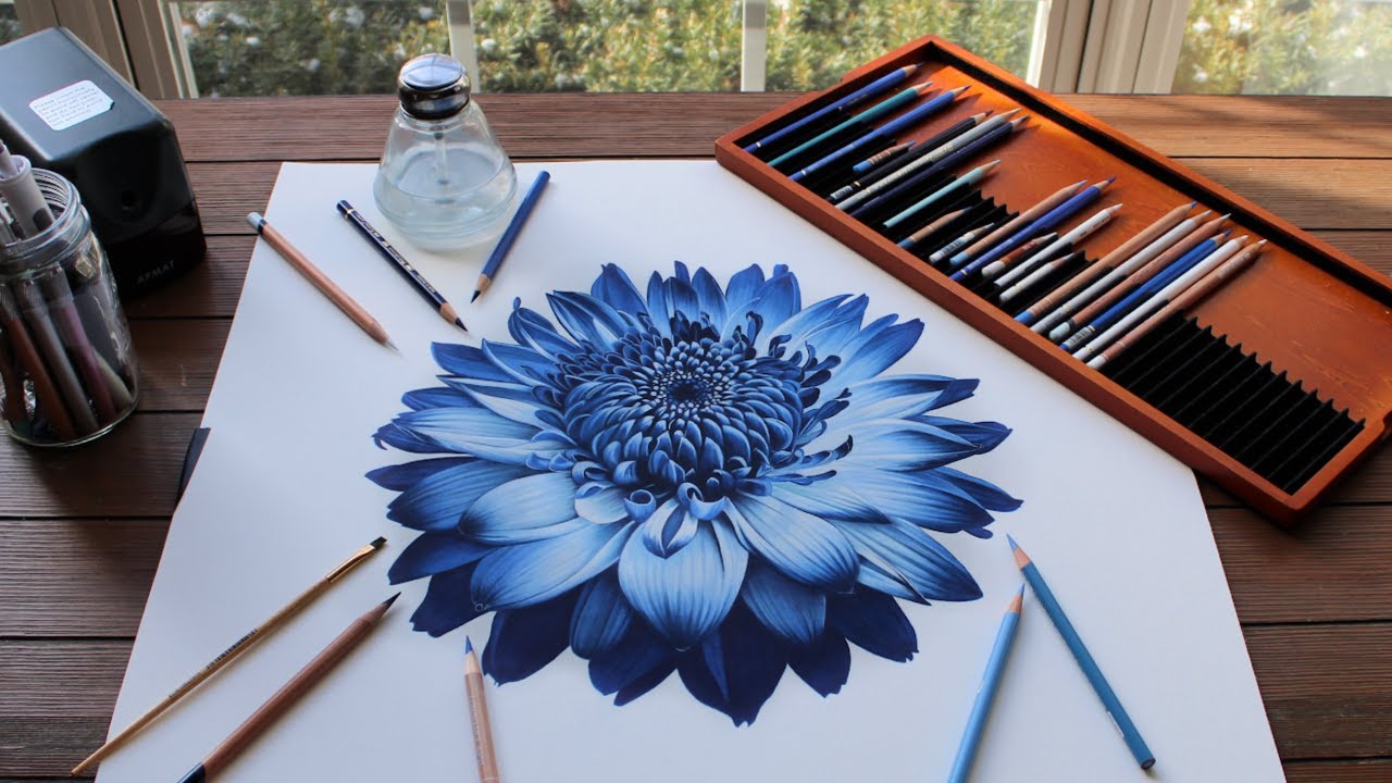 Painting a Blue Dahlia using Colored Pencils and Paint Thinner YouTube