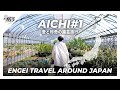 【愛知県#1】愛と珍奇にまみれる園芸旅行|アガベ/塊根植物/おもと|T Plants Labo/愛珍植祭/豊明園|【園芸日本一周:vol23】