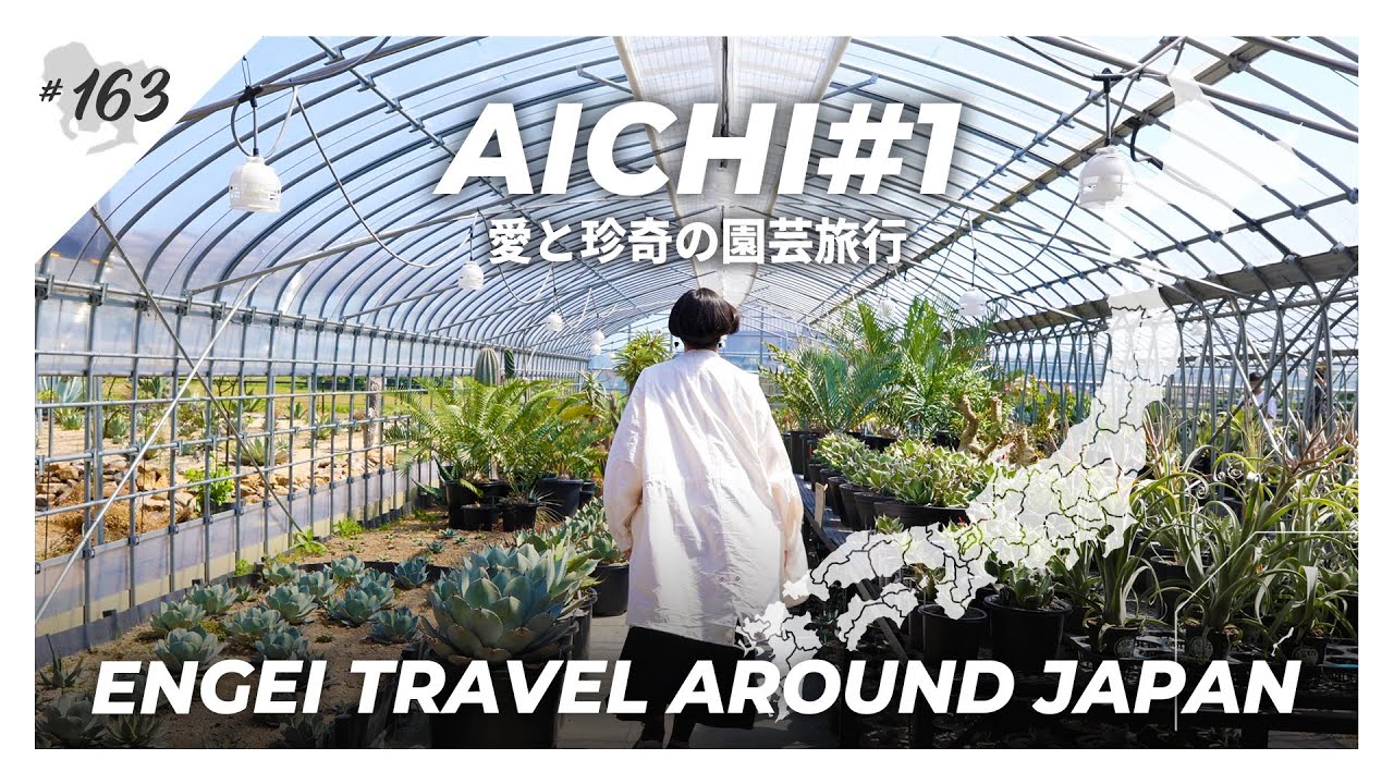 【愛知県#1】愛と珍奇にまみれる園芸旅行｜アガベ/塊根植物/おもと｜T Plants Labo/愛珍植祭/豊明園｜【園芸日本一周：vol23】