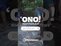 ʻONO! Hawaiʻi’s Food Culture! Laulau Young's Fish Market #shorts #hawaii