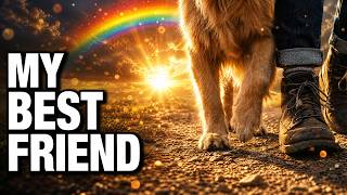 A Message for the Dog Getting Older... (Heartbreakingly Beautiful)🌈🐾 😭