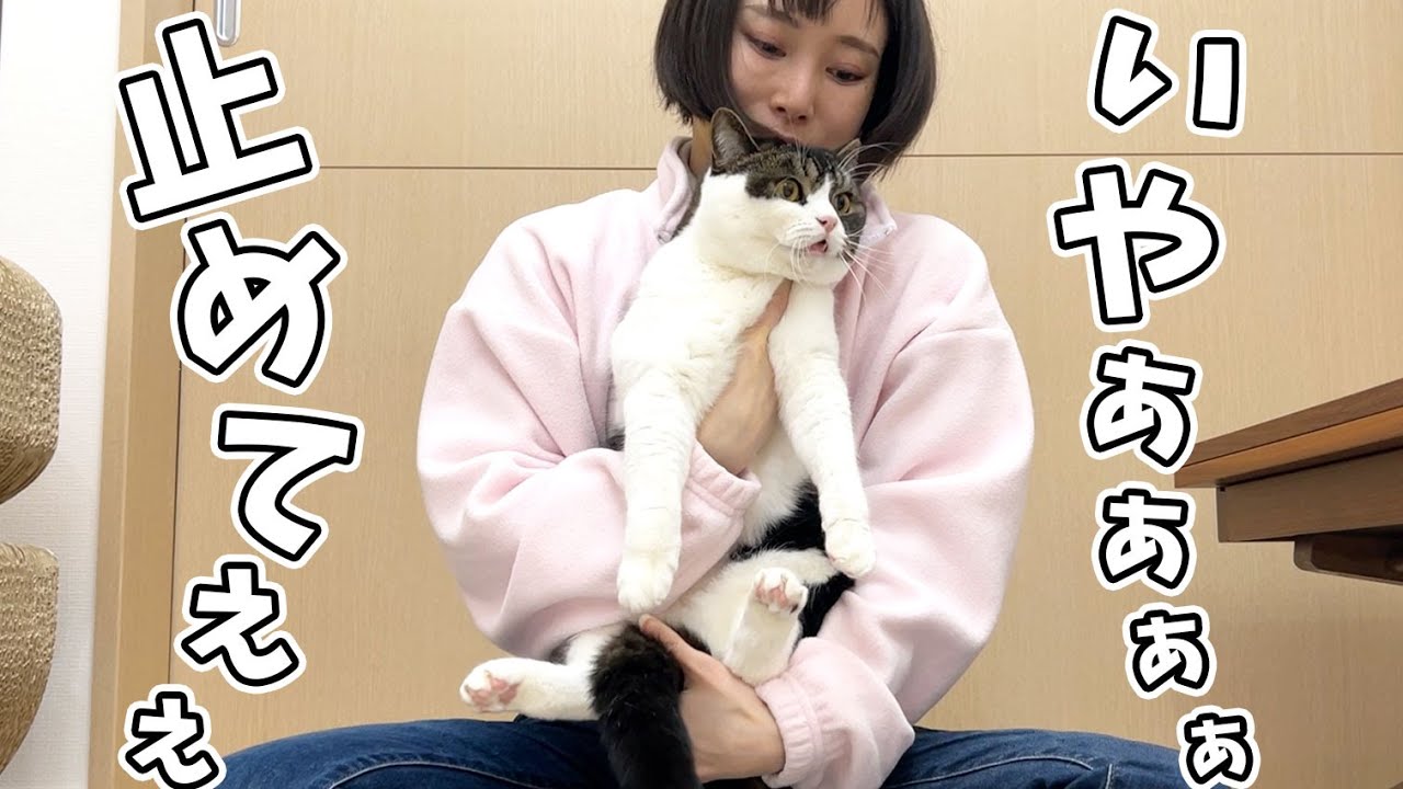 😿「ママやめてぇぇぇ！！！」息子猫に嫌われちゃったママ… - YouTube