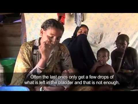 Burkina Faso: Water Caravans