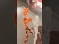 Rexsplode sacrificed himself for his friends. (REMAKE)