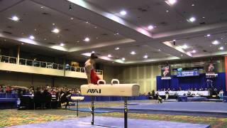 Davis Grooms - Pommel Horse - 2014 Winter Cup Challenge Finals