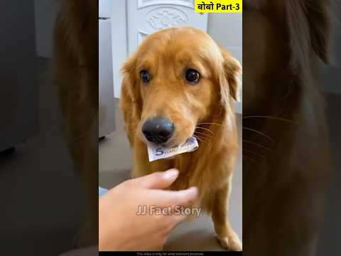 बोबो Part-3 || Bobo ka juice|| The dogs are cute and funny || Amazing Dog #comedy #shorts