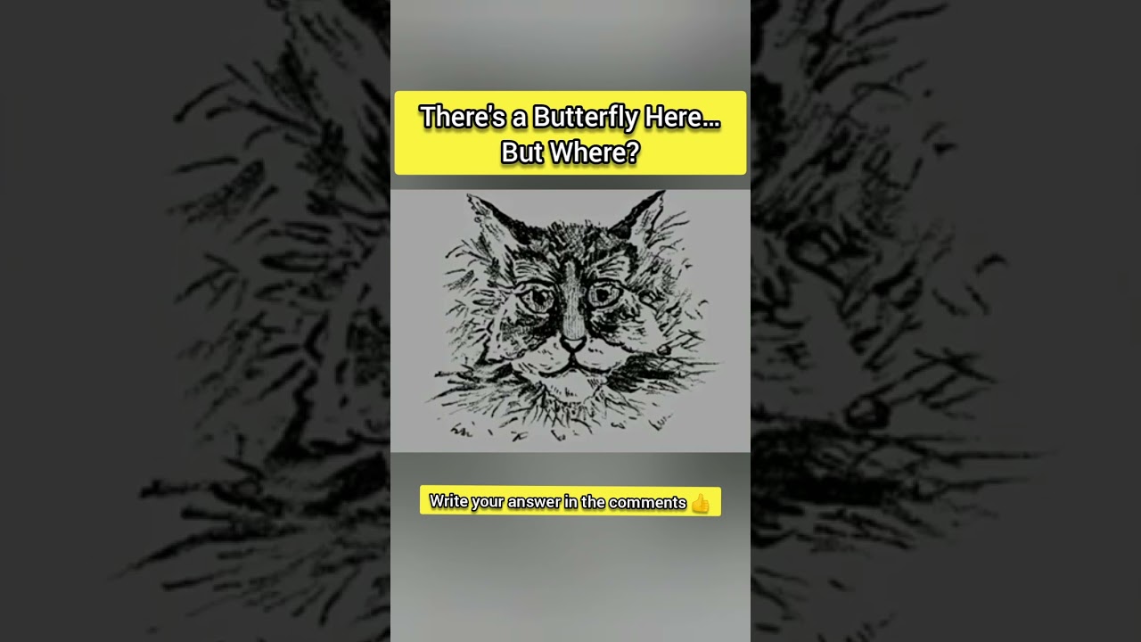 Find the butterfly in the picture 