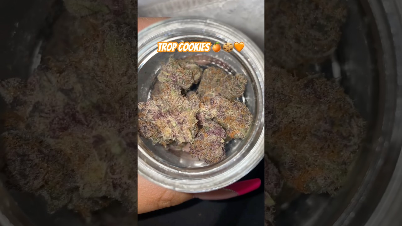 Tropicanna Cookies🧡||JGrows420  