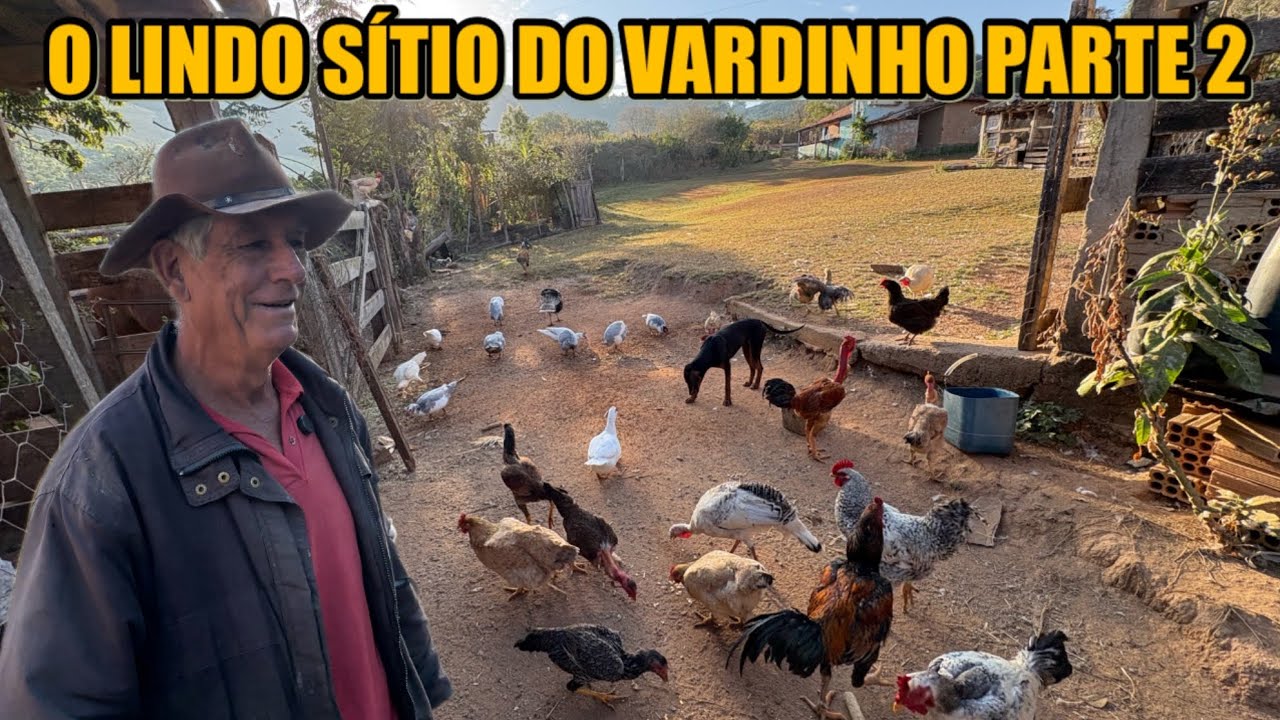 VARDINHO MOSTRA A LIDA DIÁRIA DE TODA A MANHÃ @VARDIMOFICIAL 