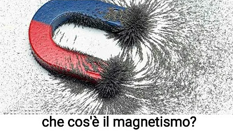 Che cosa indica il termine magnetismo?