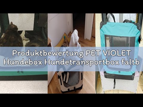 Produktbewertung PET VIOLET Hundebox Hundetransportbox faltbar & robust für Auto & Reise – 50×34×36