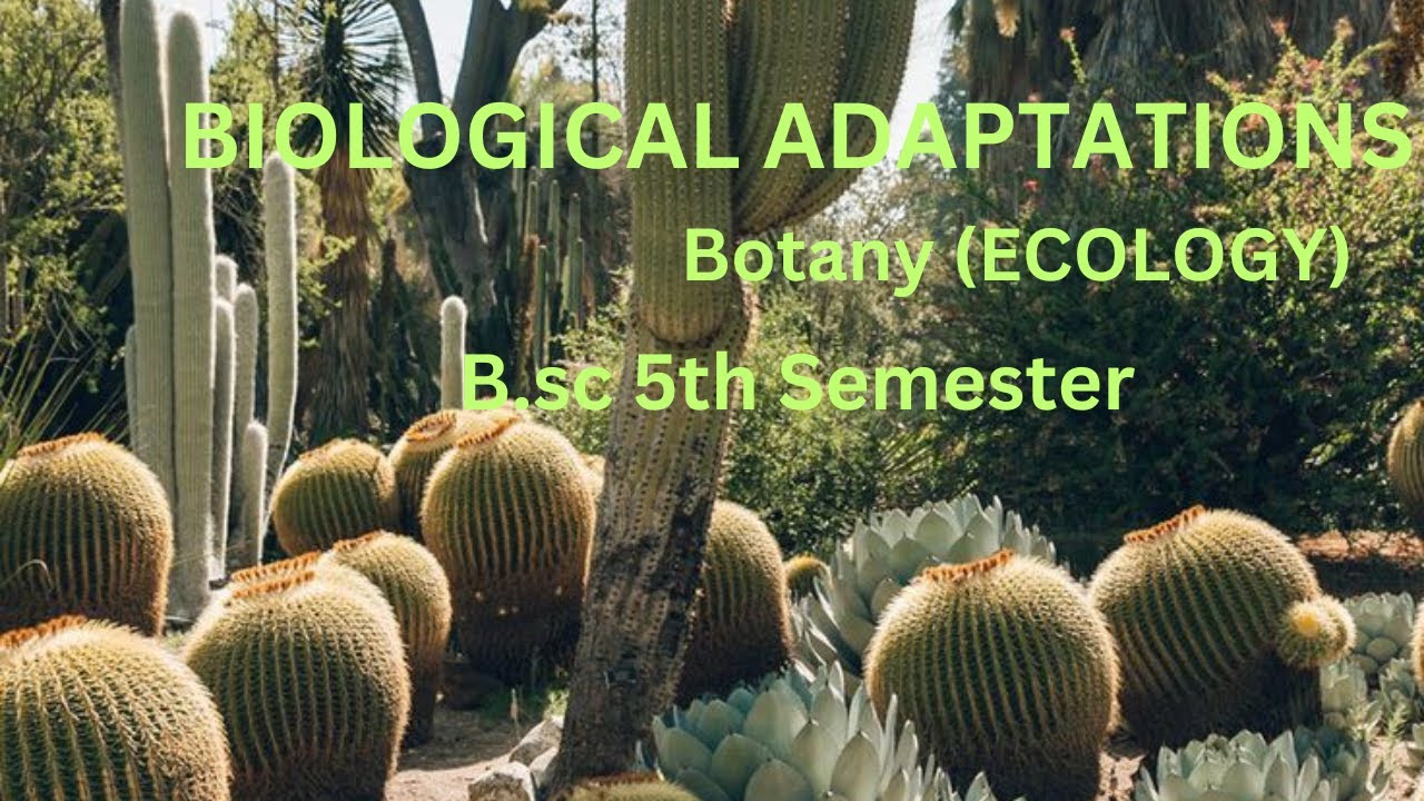 Biological Adaptations B.sc. 5th semester[ Botany] - YouTube
