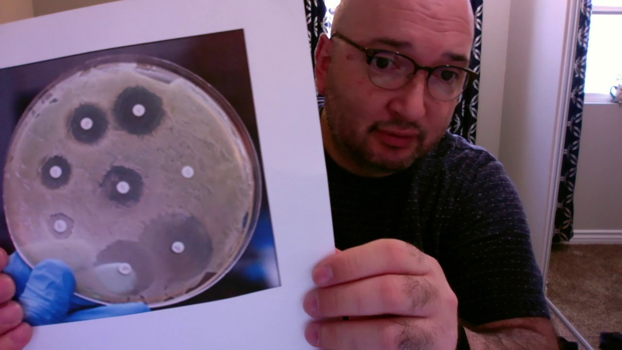 Lab 10 Antibiotic Sensitivity Kirby Bauer Diffusion: RESULTS VIDEO ...