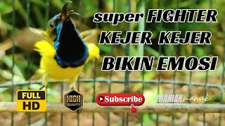 MASTERAN SOGON GACOR PENJEBOL EMOSI SOGON MACET BUNYI TUNGGU 1 MENIT PASTI SOGON RESPON ! #PART 250