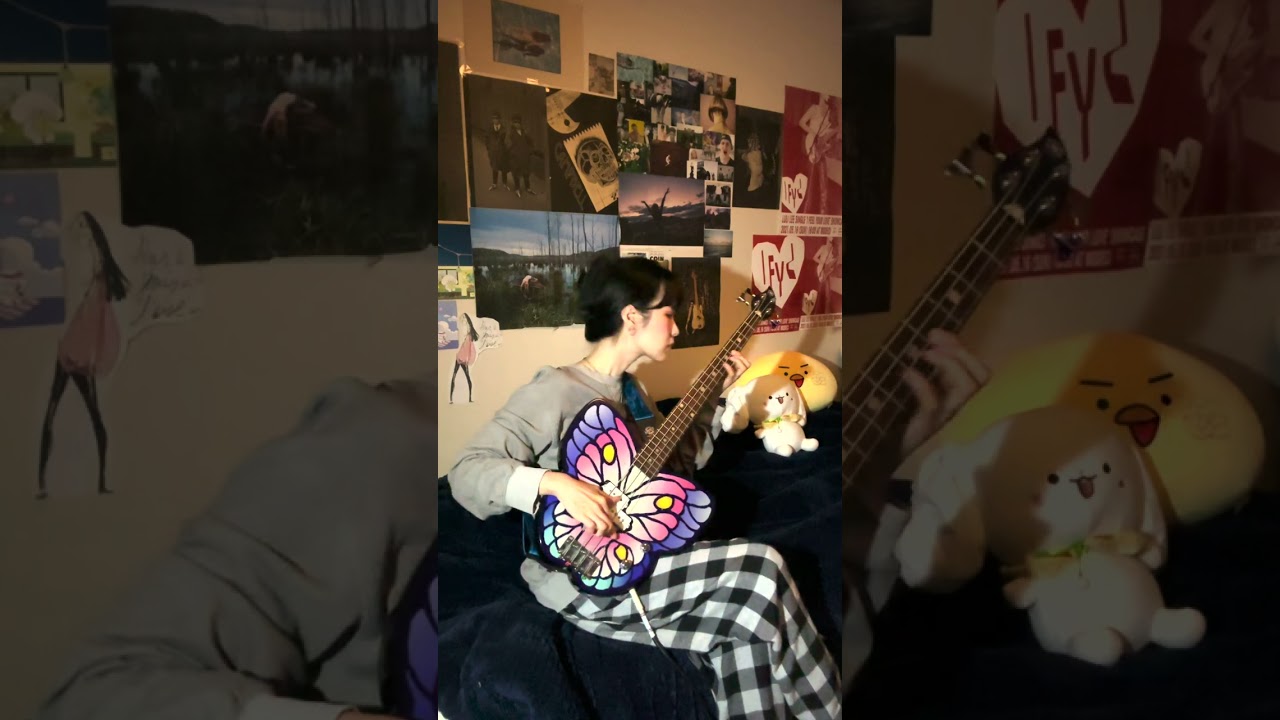 Sir Duke - Stevie Wonder (bass cover) 