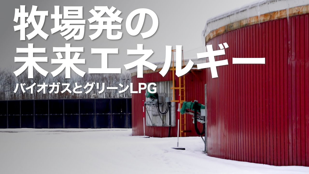 Future energy from farms: biogas and green LPG | Science