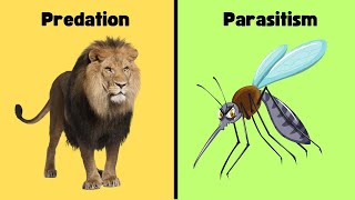 différence entre le parasitisme et les proies des prédateurs