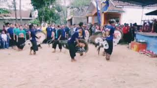 Story wa jaranan singo ludro
