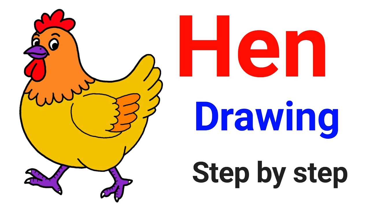 Hen drawing easy step by step 