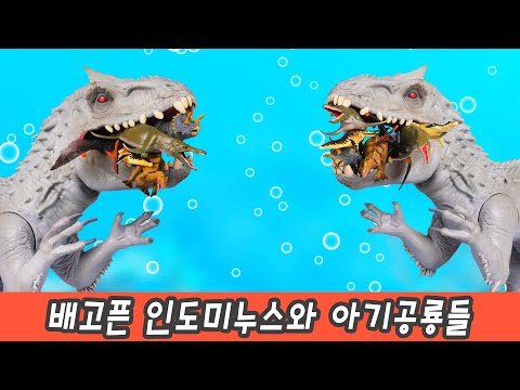한국어ㅣ배고픈 인도미누스와 아기공룡들, 공룡이름 맞추기, 어린이 공룡만화, 컬렉타ㅣ꼬꼬스토이