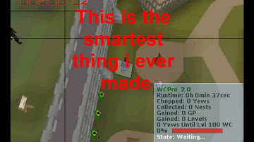 RuneScape Botting | Result: 99 Wc In 1 Week