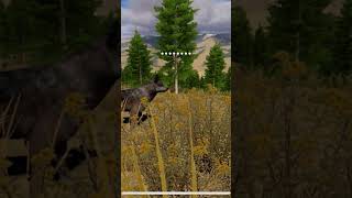 Oh No.... #games #animals #wolf #wolfquest