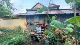 Natural cooking after raining-Phon Srieng Nature