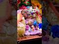 💗मेरो श्याम सुंदर 🧿😘#viral #श्यामबाबा #radheradhe #radharani #radhakrishna #shorts #youtubeshorts