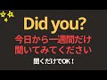 Did you? 100文 | 一週間だけ聞いてみてください英語が聞こえます | 聞き流すだけでOK｜超簡単な英会話