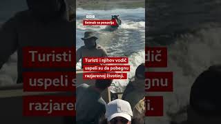 Nilski konj jurio prestravljene turiste na brodu BBC News na srpskom