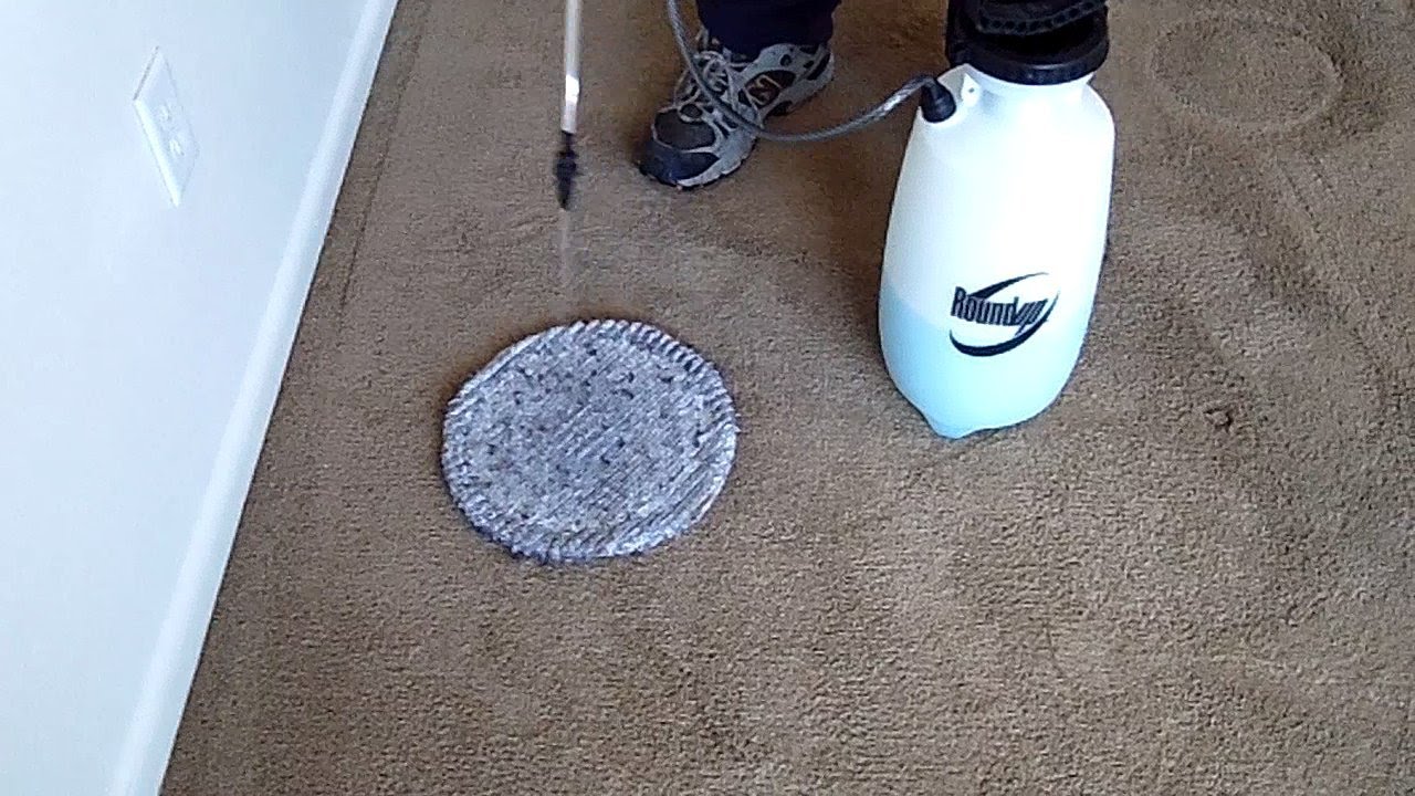 Low Moisture Cleaning With Oreck Orbiter