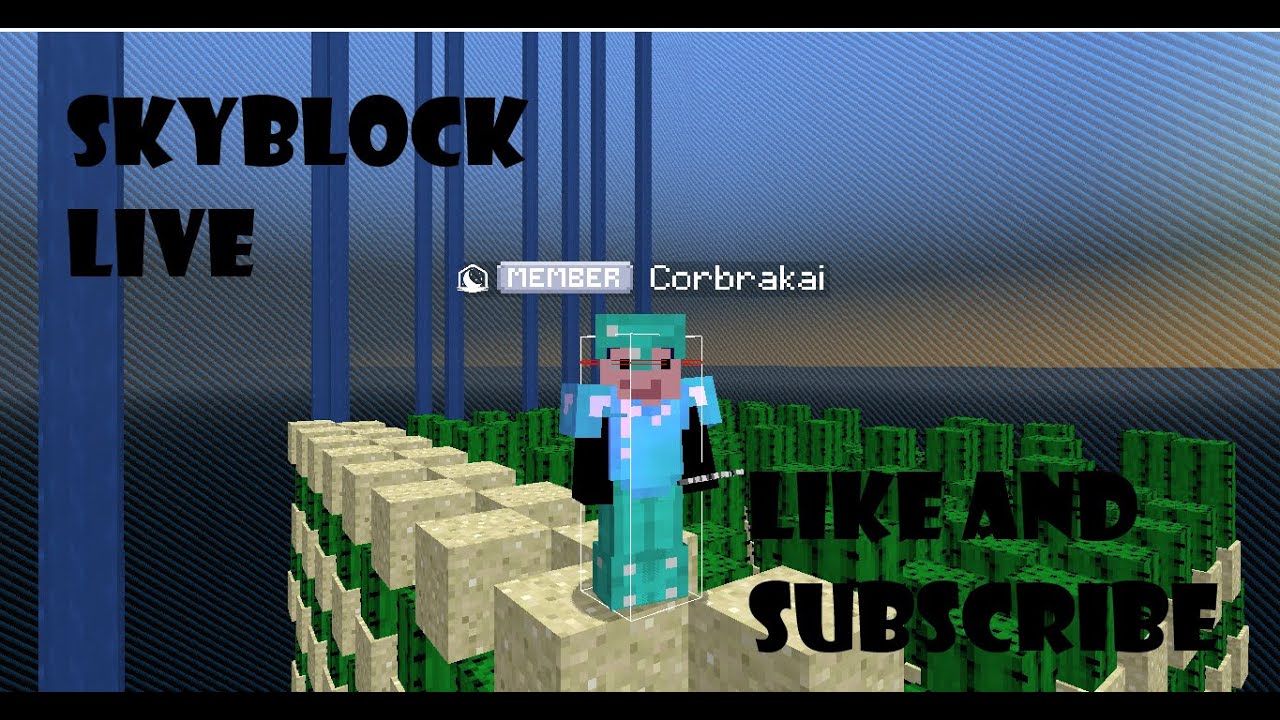 Minecraft Skyblock Live #minecraft #skyblock #live - YouTube