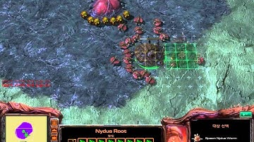 Starcraft 2 - Custom Race Neo Zerg tech demo 33