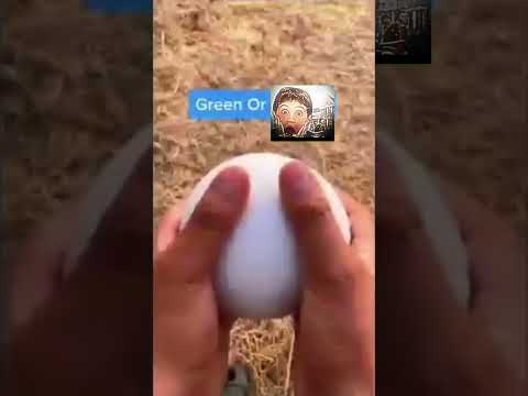 January 9, 2026 by meow meow gang