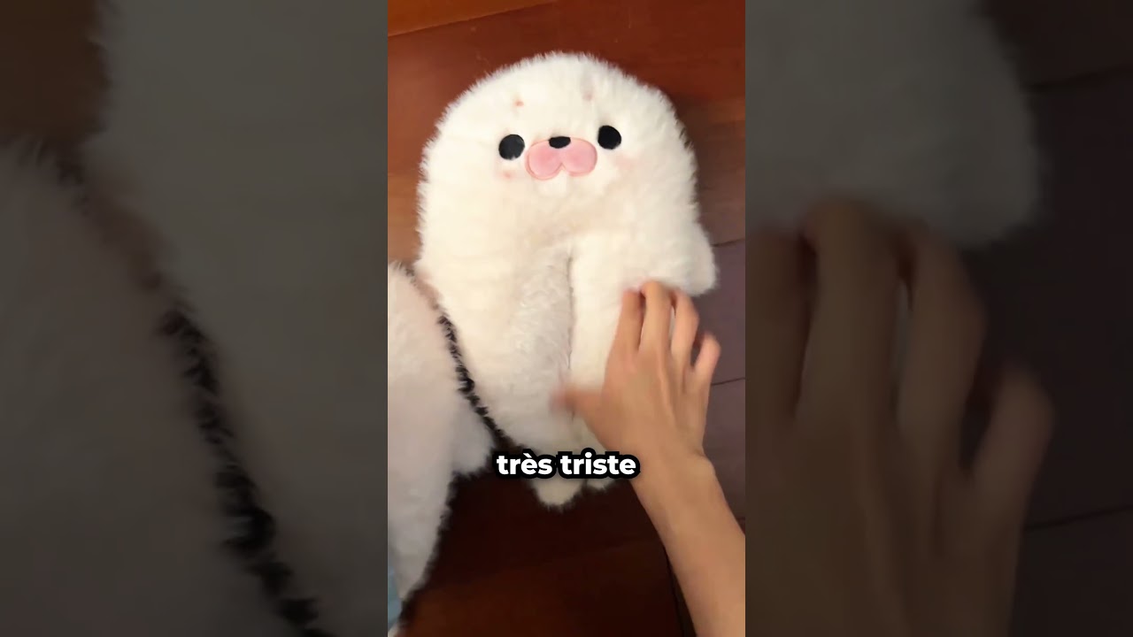 Sa Colocataire a Détruit Ses Pantoufles Préférées... 😅