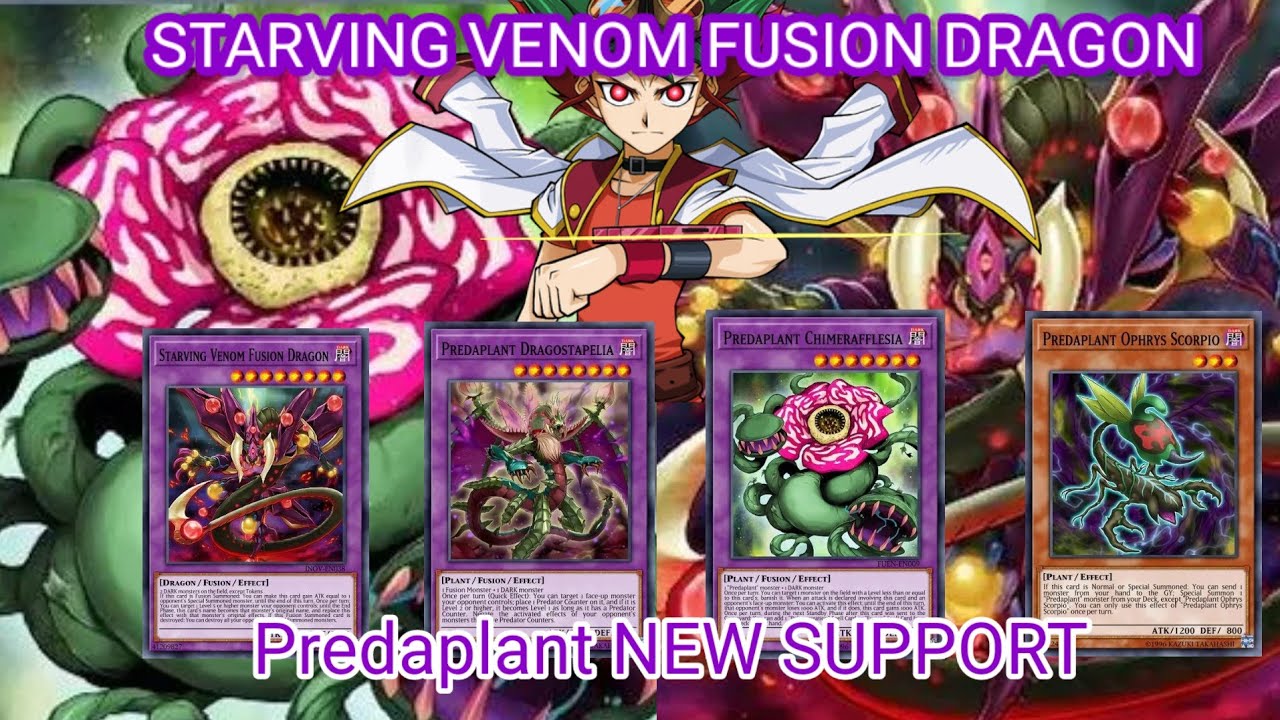 yugioh master duel ruin and demise deck Amazon.com: Complete Custom Deck for Yu-Gi-Oh! main image 1