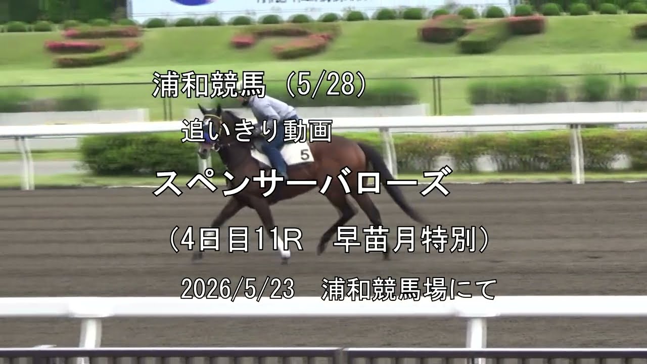 第74回 川崎記念 JpnI（2025年4月9日） - YouTube