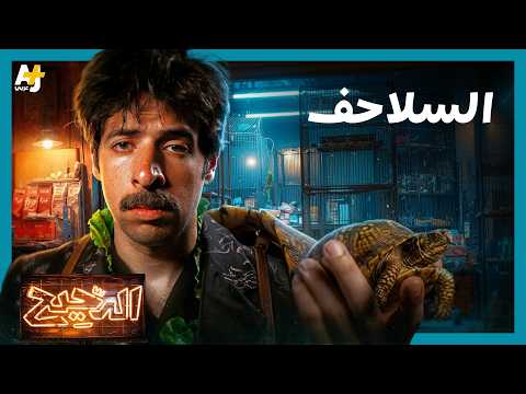 فيديو الدحيح | كيف نجت السلاحف من الكوارث الطبيعية؟